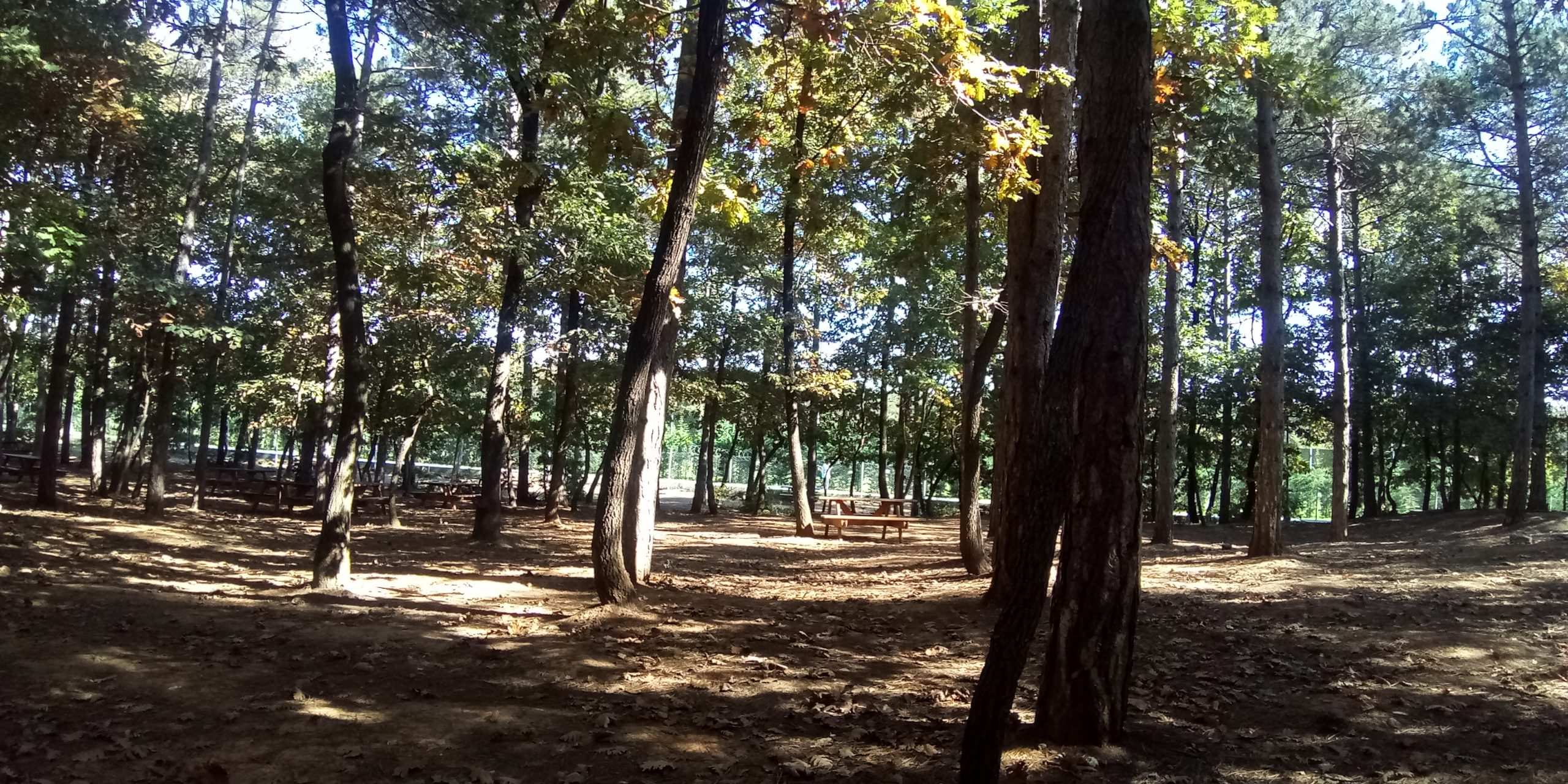 Çekmeköy merkez Mahallesi