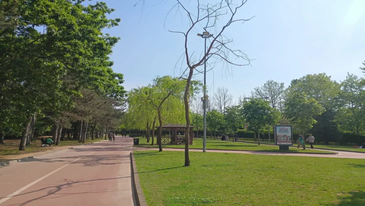 Çekmeköy Doğa Park Ağaçlar Kuruyor