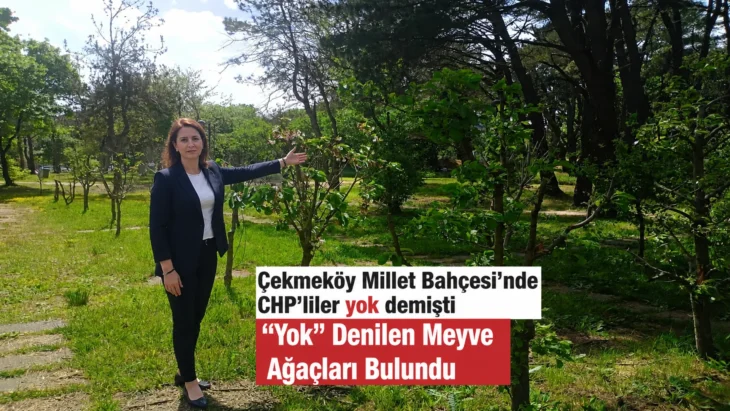 Çekmeköy’de “Yok” Denilen Meyve Ağaçları Ortaya Çıktı